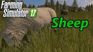 Farming Simulator 17 Tutorial  Sheep [upl. by Carmina]