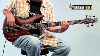 Ibanez SR505 5String Electric Bass Guitar [upl. by Peckham]