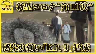 新型コロナ“第11波” 変異株「KP3」が猛威 強い感染力で短時間でも感染しやすい 専門家が警鐘 [upl. by Bendicta]