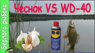 WD40 VS Чеснок на карася что лучше  Улучшают клев на рыбалке [upl. by Tonye709]