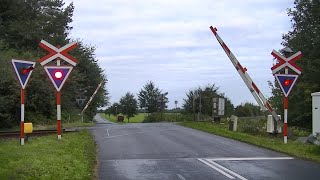 Spoorwegovergang Jelling DK  Railroad crossing  Jernbaneoverskæring [upl. by Elissa122]