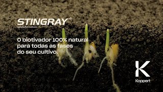 Stingray Ascophyllum nodosum O biotivador 100 natural para todas as fases do seu cultivo [upl. by Ferri]