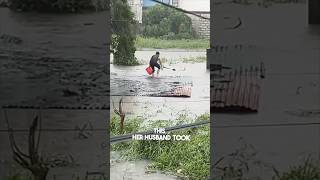 They saved a puppy during the hurricane 👏 [upl. by Rhianna]