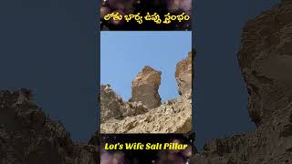 Lots Wife Salt Pillar  YouTubeshorts HPMCHURCH [upl. by Atinas]