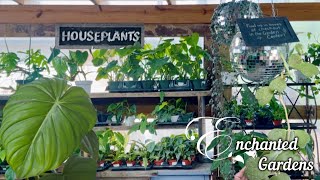 Come Houseplant Shopping at the Local Nursery with Me  Enchanted Gardens [upl. by Eido36]