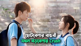 ছোটবেলার বান্ধবী যখন ক্রাশ 🤭 Binary Love korean Drama bangla Movie Explain In Bangla Naeem Is Here [upl. by Casimir]