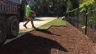 Sod Installation Timelapse  Elite Tall Fescue Sod [upl. by Eki]