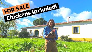 UNDER 200k Villa in PORTUGAL for SALE with 🐓  TOUR a 1500m2 Property 2h from LISBON [upl. by Enicar932]