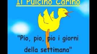 il Pulcino Carino pio pio pio [upl. by Ilana183]