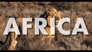 JOURNEY TO AFRICA  African Positive Inspiring Tribal Instrumental Background Music For Videos [upl. by Auqenehs]