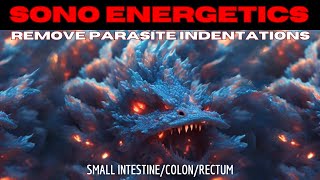 intestinal frequency  wall repair [upl. by Dolloff580]