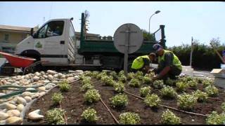 Clip Unep Métier jardinier paysagiste [upl. by Yelhs]