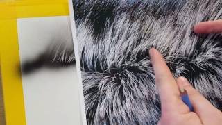 The Airbrush Academy Guide to Airbrushing Realistic Fur [upl. by Esina]