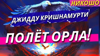 Джидду Кришнамурти Полёт Орла Полная Аудиокнига Читает Nikosho [upl. by Lilybel]