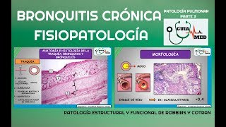 EPOC BRONQUITIS CRÓNICA FISIOPATOLOGÍA  GuiaMed [upl. by Airdnaed]