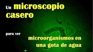 Microscopio laser casero  Laser Projection Microscope [upl. by Fletch]