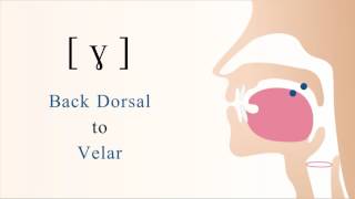 ɣ  voiced dorsal velar non sibilant fricative [upl. by Artcele]