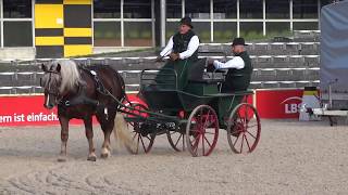 04 Wildenstein  Hengst Leistungsprüfung Ziehen und Fahren für Kaltblutpferde in Marbach [upl. by Nilad135]