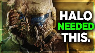 We NEED To Talk About Halo Infinite Season 5 AND THE FLOOD [upl. by Nenad781]