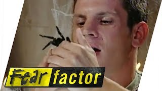 Tarantula in Mouth  Fear Factor Extra [upl. by Sukey]