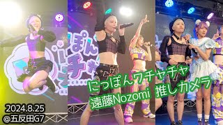 遠藤Nozomi 推しカメラ（にっぽんワチャチャ） 東京定期 衣装交換ライブ 2024825 五反田G7 [upl. by Evers]