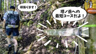 【丹沢道案内】塔ノ岳最短コース！  戸沢の出合駐車場〜天神尾根〜政次郎尾根  新東名 秦野丹沢ICから戸沢林道を経て [upl. by Hauger]