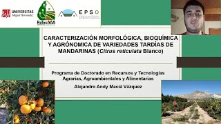 Caracterización morfológica bioquímica y agronómica de variedades tardías de mandarinas [upl. by Idonna]