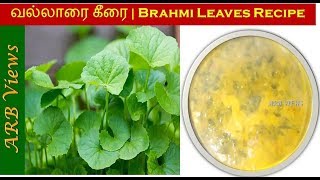 Brahmi Leaves Sambar Recipes in Tamil வல்லாரை கீரை சமையல் Brahmi Leaves  Vallarai Benefits [upl. by Yldarb]