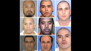 LIST OF OFFENDERS SCHEDULED TO BE EXECUTED IN 2021 [upl. by Gennifer328]