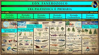 Las Eras Geológicas 3 La Era Paleozoica [upl. by Sholem93]