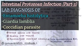 Intestinal Protozoan Infection Part3  Lab diagnosis of Ehistolytica Glamblia Coccidian paras [upl. by Orella26]