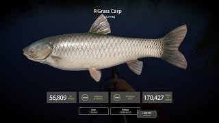 Russian Fishing 4 ★ 冠軍草魚Trophy Grass Carp 31214kg 20190517 [upl. by Heimer553]