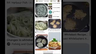 Crazy whitebait prices 🤔🫣fishing nz whitebait newzealand viral bait whitebaitnz fishingnz [upl. by Enaujed]