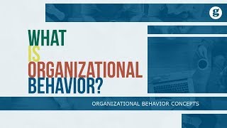 What is Organizational Behavior [upl. by Anela324]