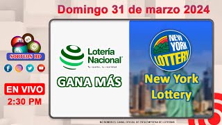 Lotería Nacional Gana Más y New York Lottery en VIVO │Domingo 31 de marzo 2024 – 230 PM [upl. by Naujahs651]