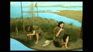 Le origini dellUomo Uomo di Cromagnon parte 6flv [upl. by Lonne]