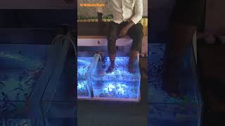 Fish Therapy For Dead Skin Drsubhashkumar [upl. by Shih600]