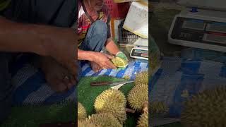 Grandpa opens the Monthong durian which has a thin shell making it easier to handle [upl. by Deborath]