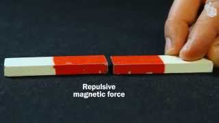 Video Lab Magnetic forces [upl. by Gan]