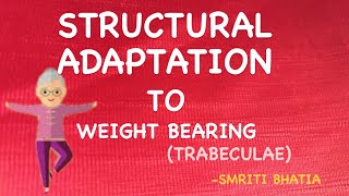 STRICTURAL ADAPTATION TO WEIGHT BEARING trabeculae system in detail [upl. by Benco]