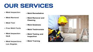 Comprehensive Mold Test Inspection Services [upl. by Snahc]