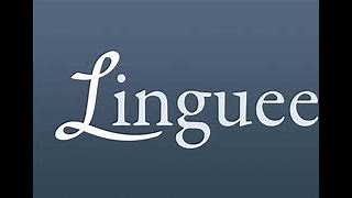 O Site Tradutor De Idiomas Linguee [upl. by Lekzehcey]