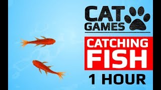 CAT GAMES  🐟 CATCHING FISH 1 HOUR VERSION VIDEOS FOR CATS TO WATCH [upl. by Ibur]