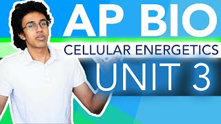 AP Biology Unit 3 Crash Course Cellular Energetics [upl. by Luehrmann]