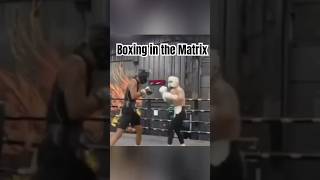 Boxing in the Matrix boxing [upl. by Pammi]