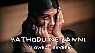 Kathodu Nee Kanni Poonchillayil  Slowed  Reverb [upl. by Valentino]