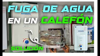 REPARACIÓN de una FUGA DE AGUA en un CALEFÓN A GAS [upl. by Otti]