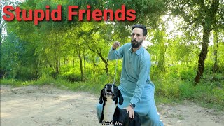 Types of stupid friends part 2 Buner vines new funny video [upl. by Yrrep]