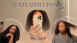 Texturized my 4C Hair  1 Year Update Had to do a Big Chop Lessons amp Regrets  BeeSaddity TV [upl. by Evelc]