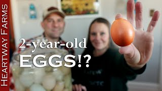 How to Preserve Eggs Egg Preservation The Old Way Find Out If Water Glassing Fresh Eggs Works [upl. by Luhem]